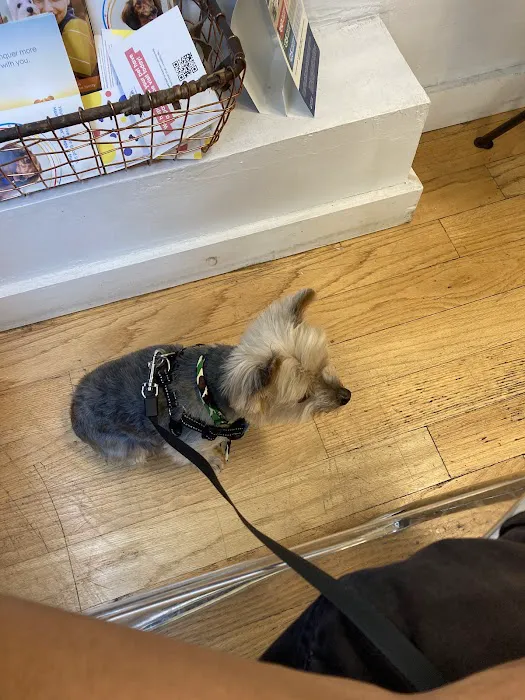 Dr. Pet Daddy Veterinarian, PC | Smart Easy Affordable Animal Hospital Picture 3