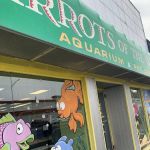 Parrots of the World