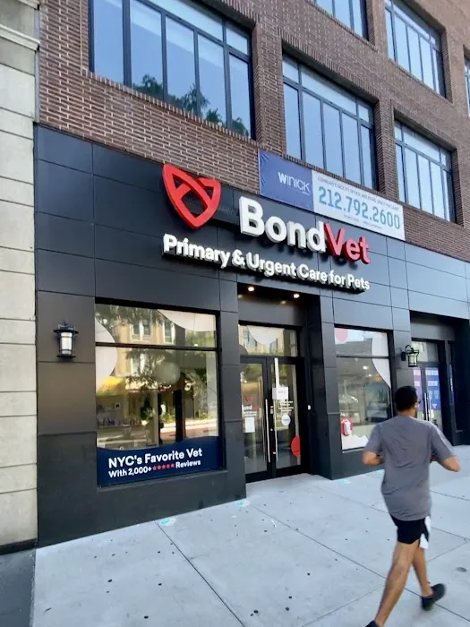 Bond Vet - Astoria Picture 10