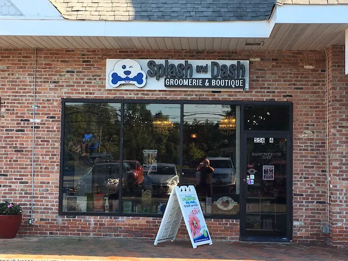 Splash and Dash Groomerie & Boutique Picture 4