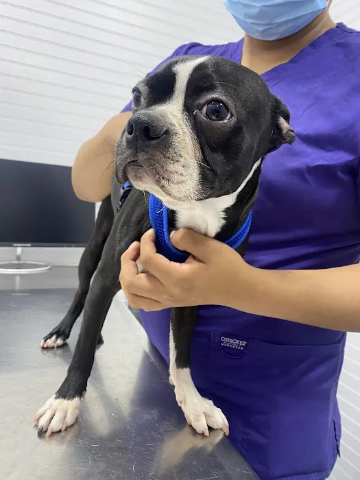 Astoria Animal Hospital Picture 6