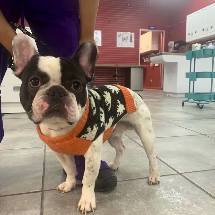 Astoria Animal Hospital Picture 7