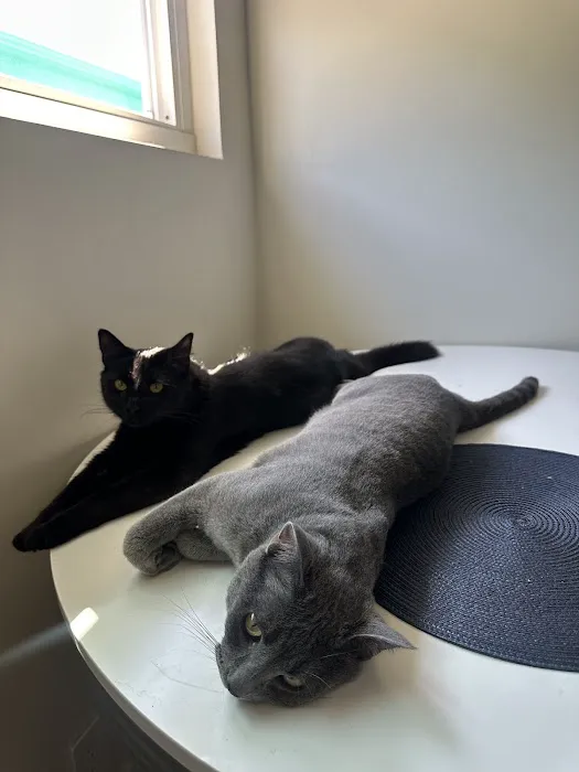 Astoria Animal Hospital Picture 9