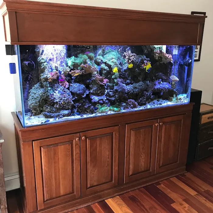 Island Fish & Reef Picture 5