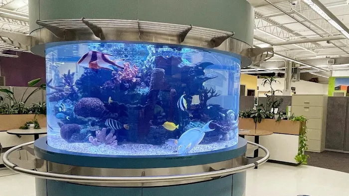 Island Fish & Reef Picture 10