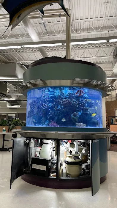 Island Fish & Reef Picture 3