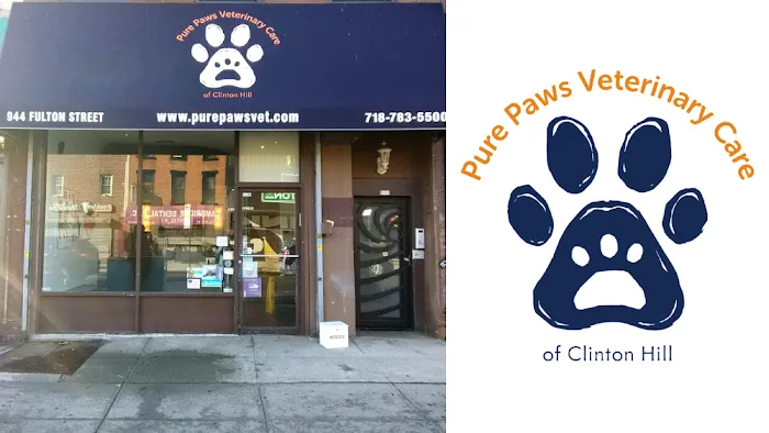 Pure Paws Veterinary Care of Clinton Hill Picture 10