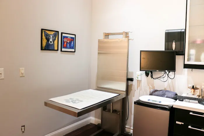 Pure Paws Veterinary Care of Clinton Hill Picture 5