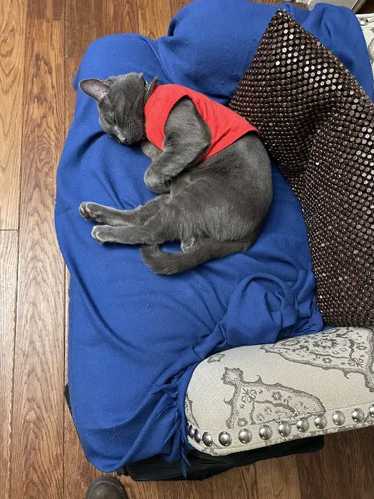 Pure Paws Veterinary Care of Clinton Hill Picture 2