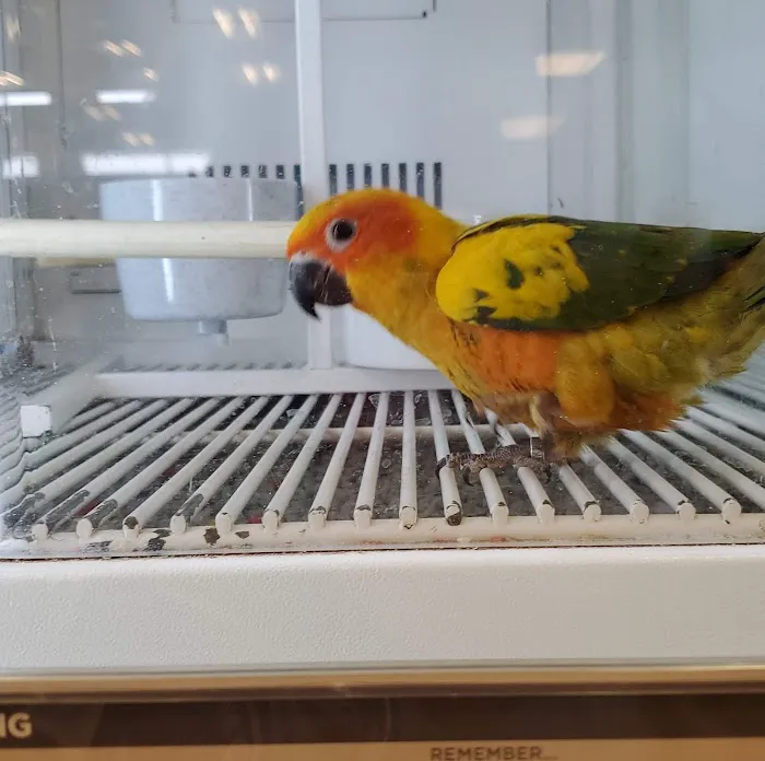 Petco Picture 1