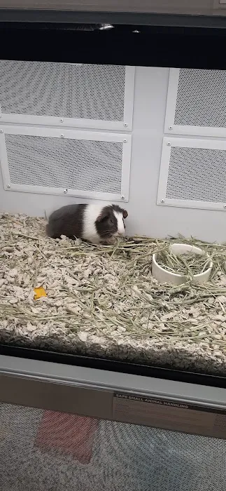 Petco Picture 10