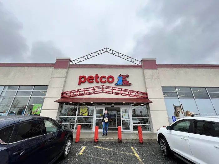Petco Picture 3