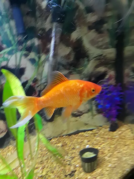 Petco Picture 8