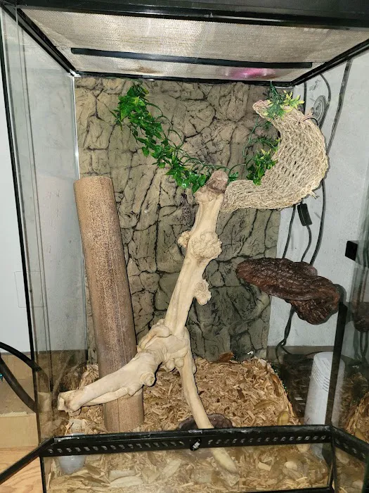 Jungle Bob's Reptile World Picture 6