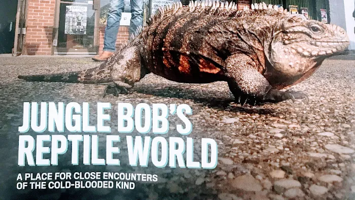 Jungle Bob's Reptile World Picture 8