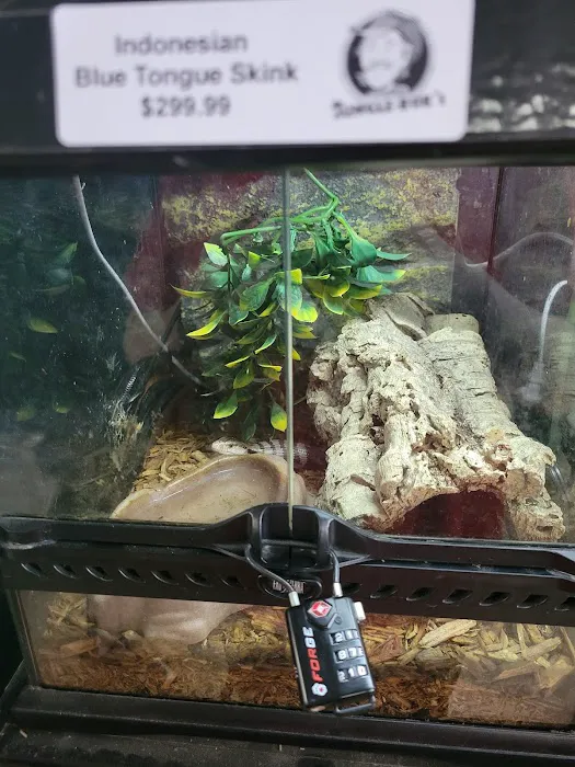 Jungle Bob's Reptile World Picture 1