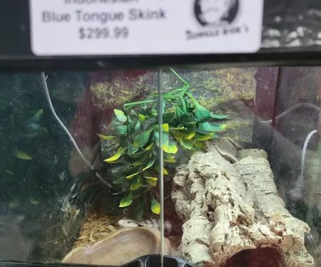 Jungle Bob's Reptile World