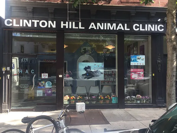 Clinton Hill Animal Clinic Picture 7