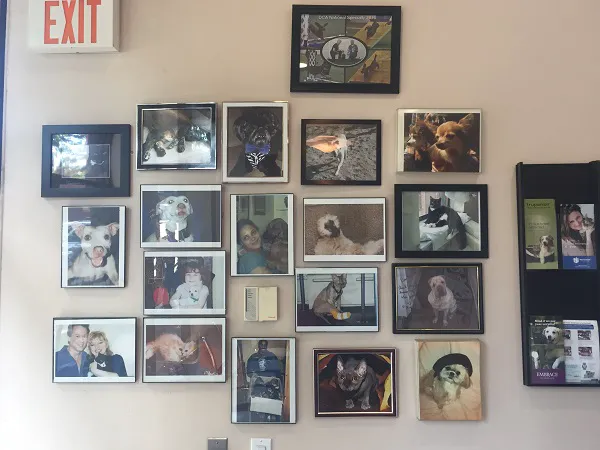 Clinton Hill Animal Clinic Picture 9