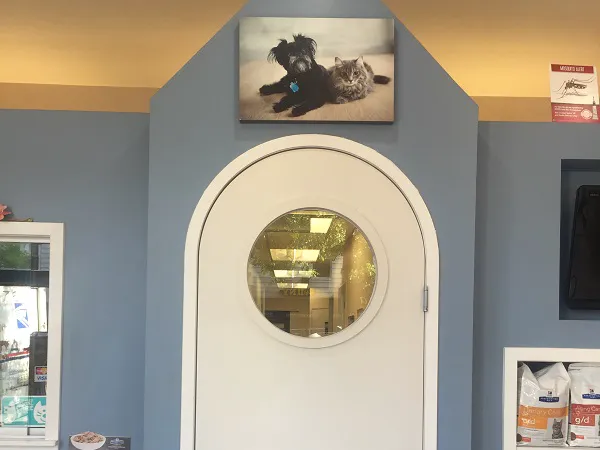 Clinton Hill Animal Clinic Picture 10