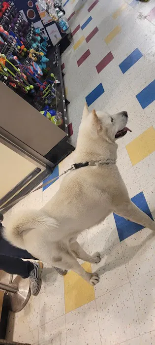 Petco Picture 9