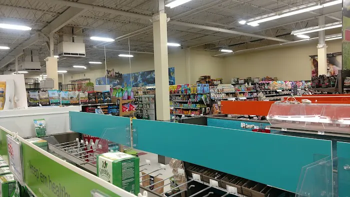 Petco Picture 2