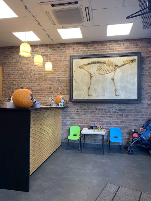 Prospect Heights Animal Hospital Picture 2