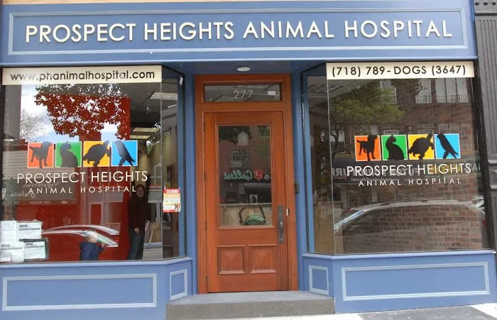 Prospect Heights Animal Hospital Picture 1
