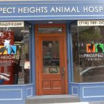 Prospect Heights Animal Hospital