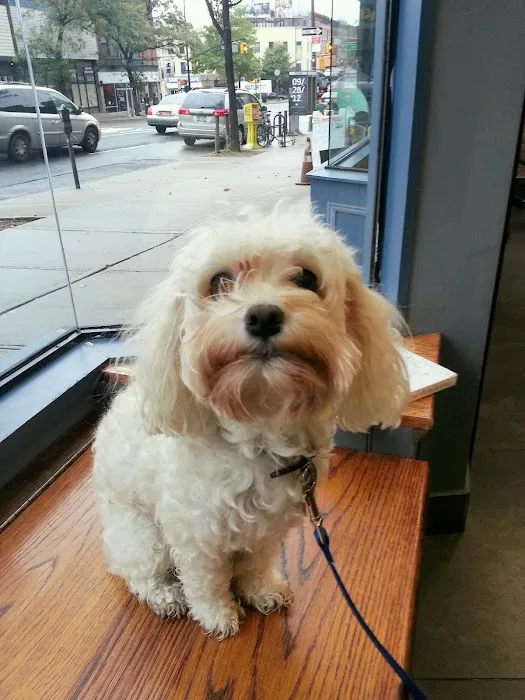 Prospect Heights Animal Hospital Picture 5