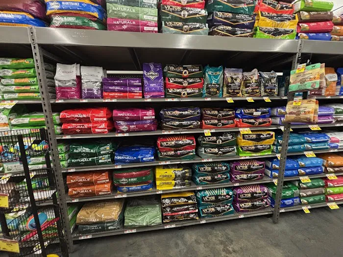 Pet Supplies Plus Port Jefferson Station Picture 1