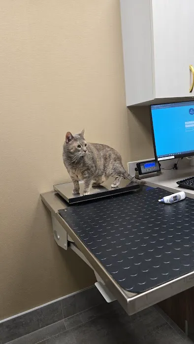 Heart of Chelsea Veterinary Group - Prospect Heights Picture 2