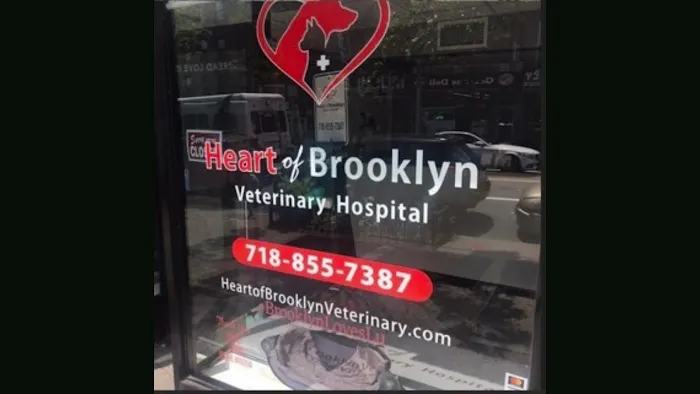 Heart of Brooklyn Veterinary Hospital - Fort Greene Picture 10