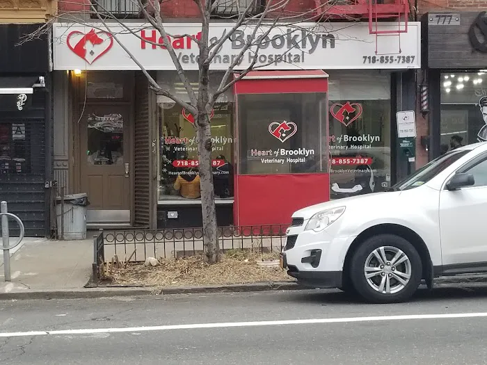 Heart of Brooklyn Veterinary Hospital - Fort Greene Picture 2