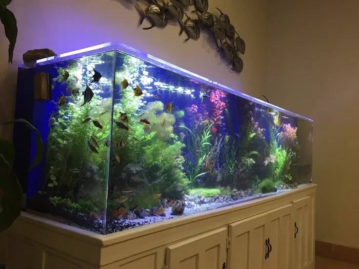 Aqua Hut Inc Picture 5
