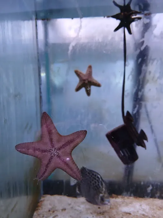 Aqua Hut Inc Picture 4