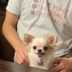 Heart of Chelsea Veterinary Group - Park Slope