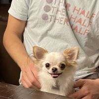 Heart of Chelsea Veterinary Group - Park Slope ico