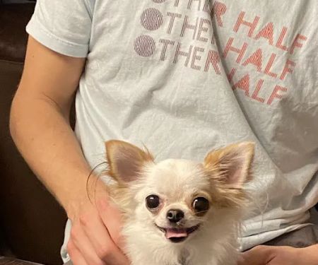 Heart of Chelsea Veterinary Group - Park Slope