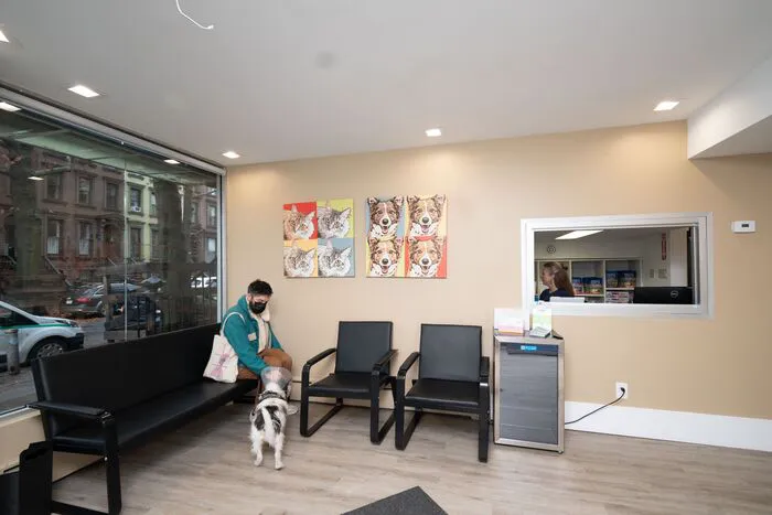 Heart of Chelsea Veterinary Group - Park Slope Picture 4