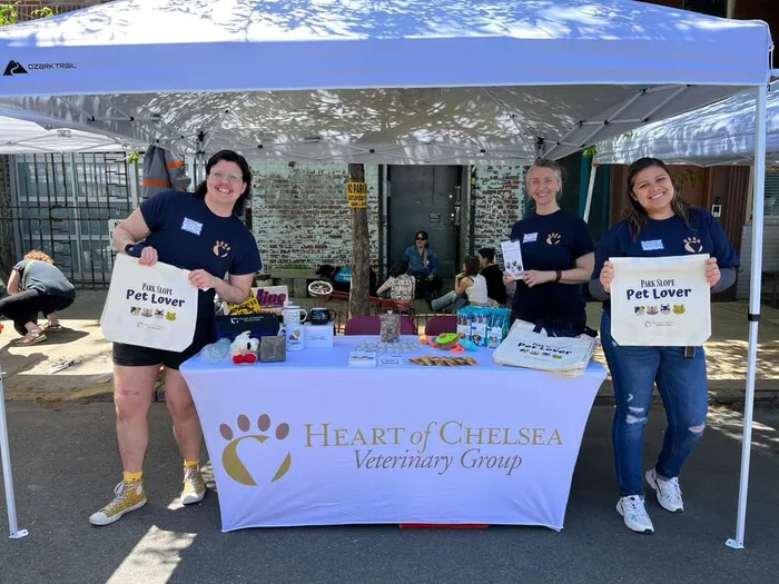 Heart of Chelsea Veterinary Group - Park Slope Picture 5