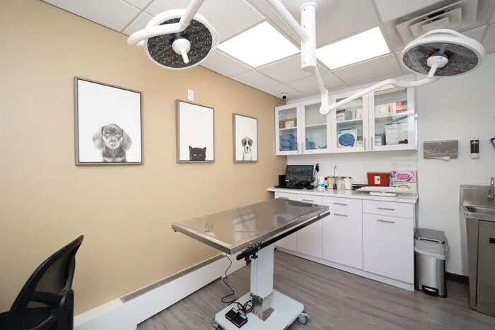 Heart of Chelsea Veterinary Group - Park Slope Picture 3