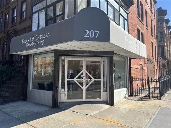 Heart of Chelsea Veterinary Group - Park Slope Picture 7