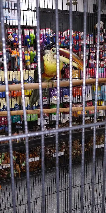 Country Critters Ltd Picture 3