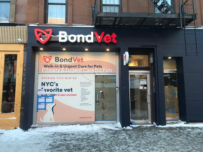 Bond Vet - Park Slope Picture 3