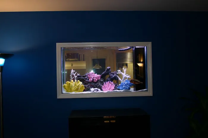 Dynamic Tank Design Picture 2
