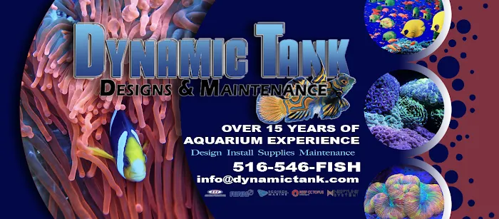 Dynamic Tank Design Picture 10