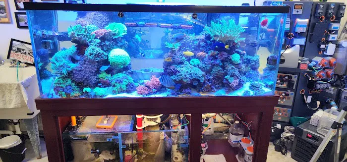 Dynamic Tank Design Picture 7