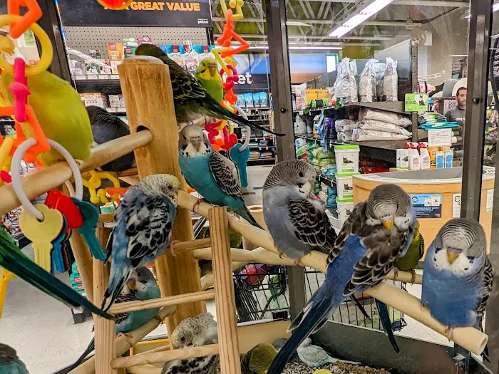Petco Picture 1
