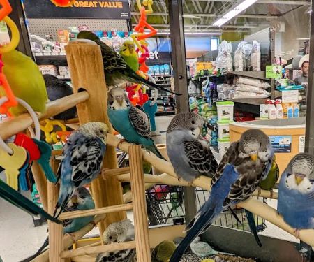 Petco